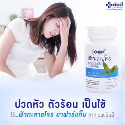 Viên uống tăng đề kháng ngừa cảm cúm Yanhee Ya Fartab (Andrographis paniculate) ảnh 11
