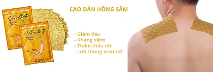 Cao dán hồng sâm trị nhức mỏi HIMENA ảnh 9