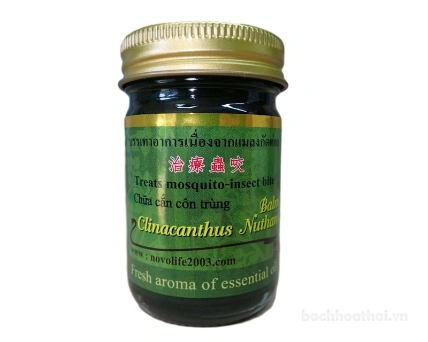 Dầu cù là trị côn trùng cắn Green Herb Clinacanthus Nutans Balm Insect Bite ảnh 3