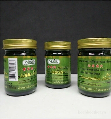 Dầu cù là trị côn trùng cắn Green Herb Clinacanthus Nutans Balm Insect Bite ảnh 8