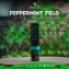 Ống hít mũi 2 đầu Peppermint Field Inhaler 2 in 1 ảnh 11