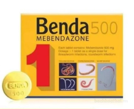Tẩy giun sán ký sinh trùng Benda 500 Mebendazole  ảnh 2