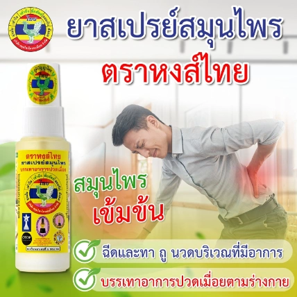 Xịt  thảo dược xương khớp Hong Thai Plai Zingiber Spray 30ml ảnh 6