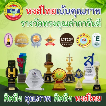 Xịt  thảo dược xương khớp Hong Thai Plai Zingiber Spray 30ml ảnh 7