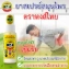Xịt  thảo dược xương khớp Hong Thai Plai Zingiber Spray 30ml ảnh 6