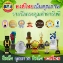 Xịt  thảo dược xương khớp Hong Thai Plai Zingiber Spray 30ml ảnh 7
