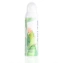 Xịt chống nắng Sivanna Colors Cactus Carefree Protection Spray ảnh 11