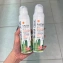 Xịt chống nắng Sivanna Colors Cactus Carefree Protection Spray ảnh 12