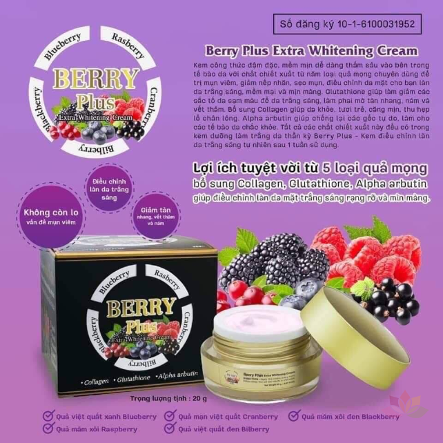 Kem trị nám dưỡng trắng da Berry Plus Extra Whitening Cream ảnh 9