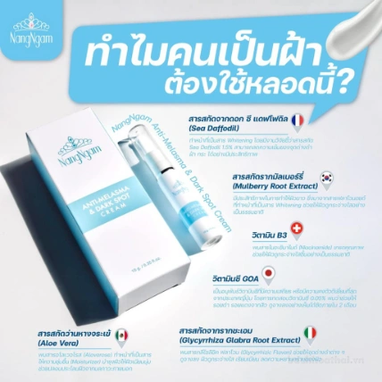 Kem đặc trị nám, tàn nhang Nangngam Anti-Melasma & Dark Spot Cream  ảnh 8