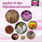 Ảnh sản phẩm Viên uống nở ngực SK Herb D Thái Lan 2