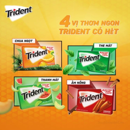 Kẹo Trident Gum không đường vị trái cây nhiệt đới ảnh 3