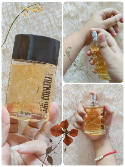 Nước hoa cho Nam Mistine Top Country Perfume Spray 50ml ảnh 5