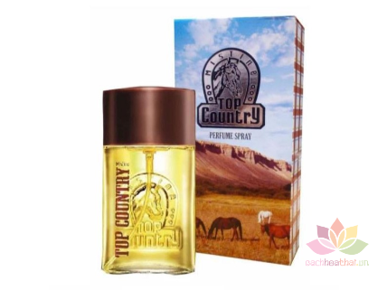 Nước hoa cho Nam Mistine Top Country Perfume Spray ảnh 1