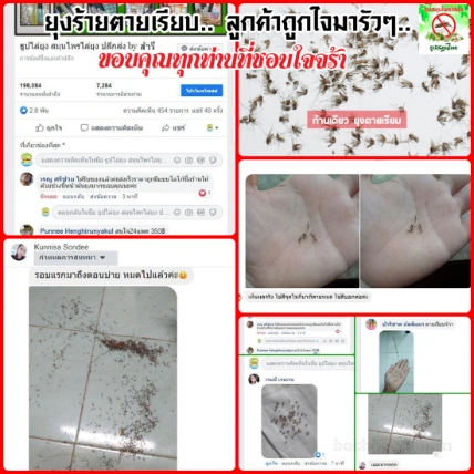 Nhang muỗi thảo mộc không khói CPDM Thái Lan ảnh 11