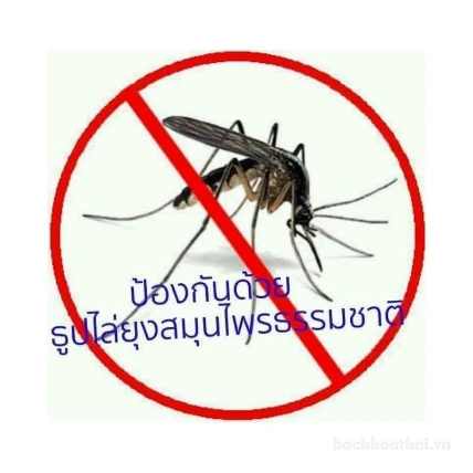 Nhang sả đuổi muỗi 7 màu Thái Lan ảnh 3