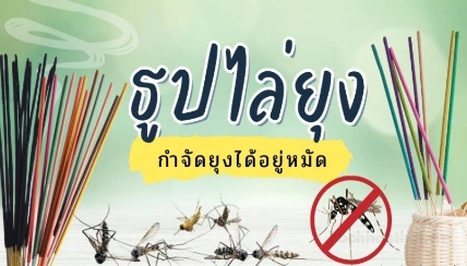 Nhang sả đuổi muỗi 7 màu Thái Lan ảnh 7
