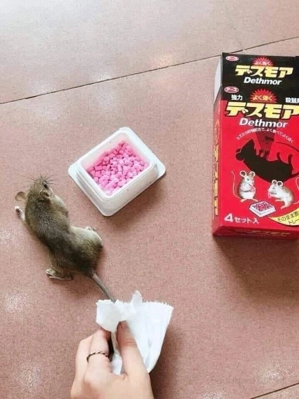 Viên diệt chuột Dethmor Nhật Bản hộp 4 vỉ ảnh 8