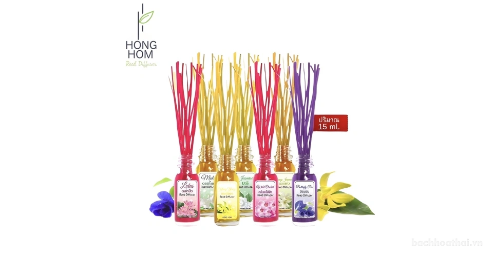 Thân gỗ phát tán tinh dầu Hong Hom