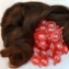 Serum ủ tóc bóng mượt Hair Vitamin VQ Meinas Lotion Thái Lan ảnh 6