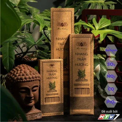 Nhang sạch thảo mộc không hóa chất từ thân, lá cây  Mộc Hương  ảnh 1