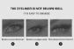 Bút kẻ mắt nước 2 đầu chống nước O.TWO.O Cat-Eye Stamp Eyeliner 
 ảnh 15