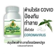 Ảnh sản phẩm Viên uống xuyên tâm liên tăng để kháng trị cảm cúm HJ 2