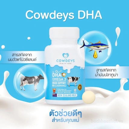 Viên sữa nén bổ xung DHA và Omega-3 Cowdeys DHA Sweetened Flavour Milk Tablet Thái Lan ảnh 6