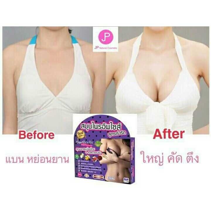 Chiết xuất từ loạt thảo dược quý