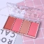 Bảng phấn tạo khối má hồng đa năng 4 ô O.TWO.O Grooming Powder Contour Bronzer Blusher 
 ảnh 2