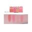 Bảng phấn tạo khối má hồng đa năng 4 ô O.TWO.O Grooming Powder Contour Bronzer Blusher 
 ảnh 13