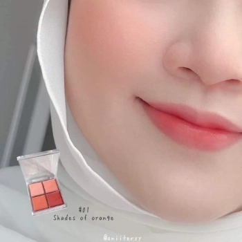 Ảnh sản phẩm Phấn má hồng 4 ô Odbo Signature 4 Shades Blusher 10g OD1309 
 2